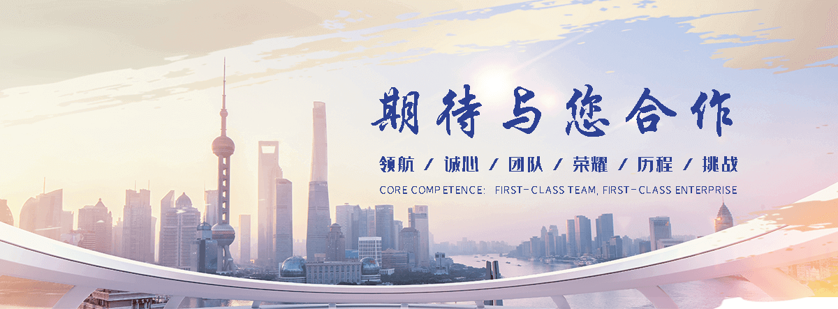 狐域咨询(泰安分公司)